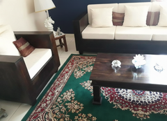 Sheesham Wood Timber line Sofa Set